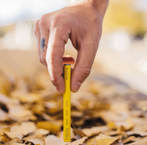 Terpene Deficiency and Aromatherapy