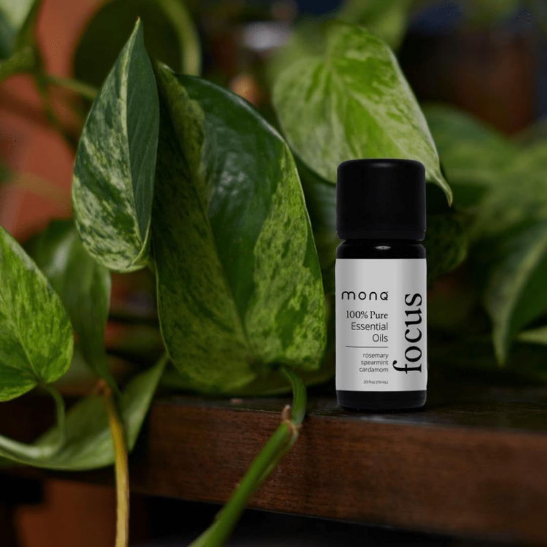 MONQ Bottled Blends Focus Bottled Blend