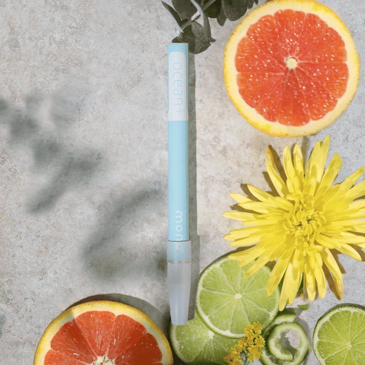 Entourage Original Diffusers+ Ocean+CBD Original Diffuser
